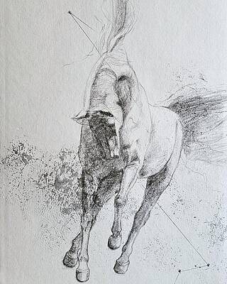 War horse