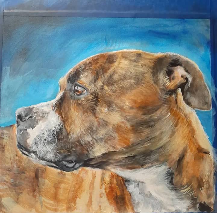 Bulldog
