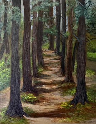 Forest path