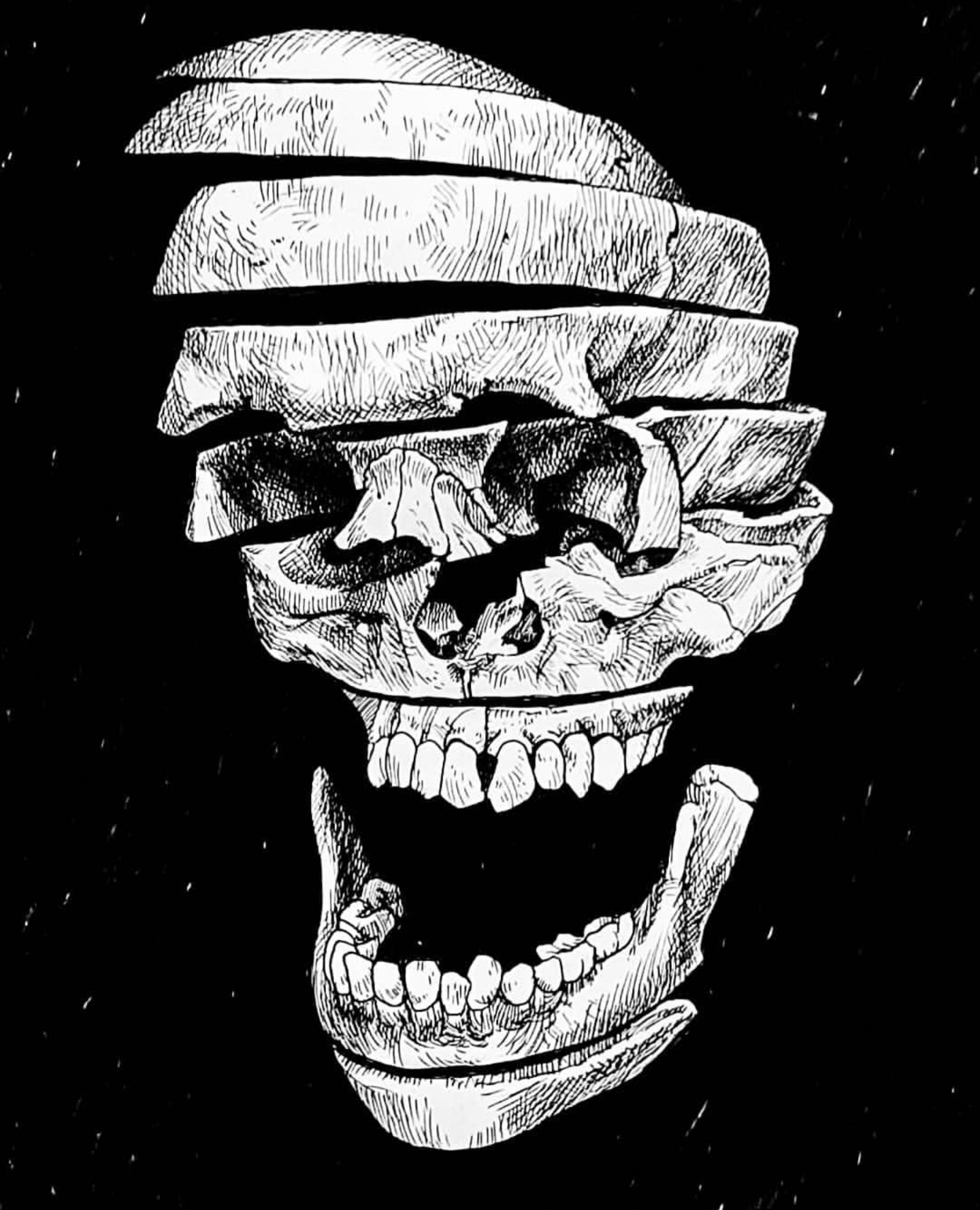 Sliced skull